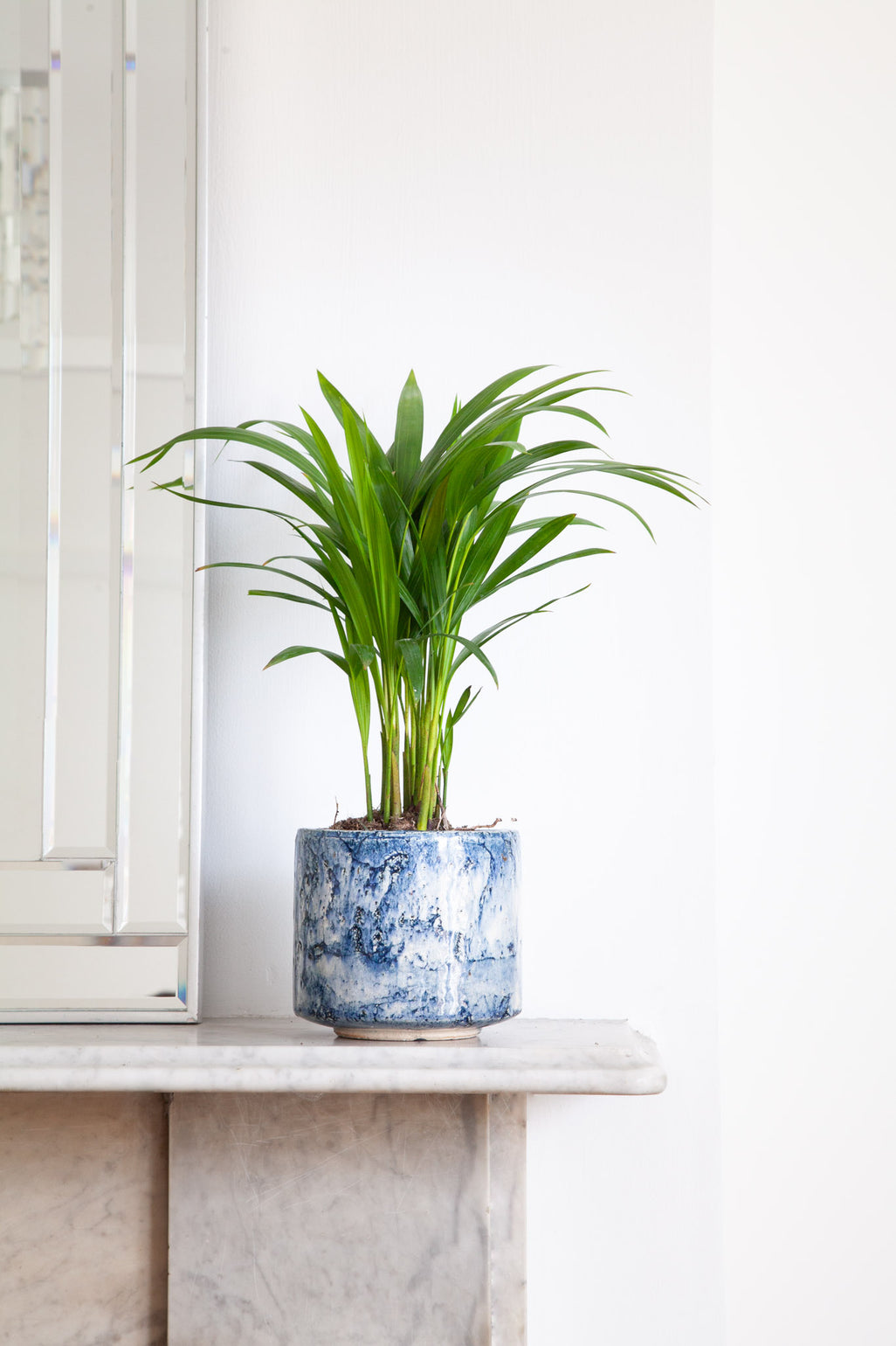 files/IndoorPlants_2-JamieShots20.11.2023-104.jpg